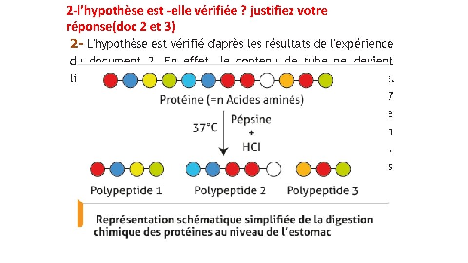 2 -l’hypothèse est -elle vérifiée ? justifiez votre réponse(doc 2 et 3) 2 -