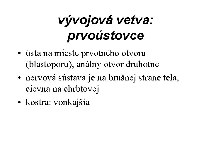 vývojová vetva: prvoústovce • ústa na mieste prvotného otvoru (blastoporu), análny otvor druhotne •