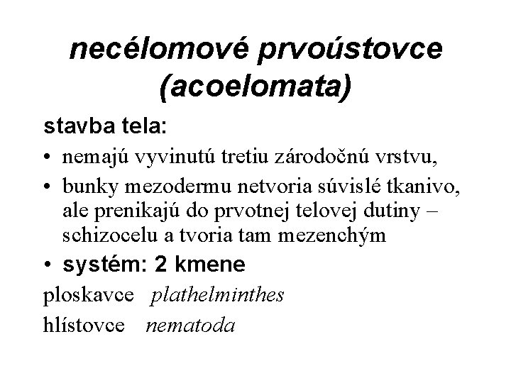 necélomové prvoústovce (acoelomata) stavba tela: • nemajú vyvinutú tretiu zárodočnú vrstvu, • bunky mezodermu