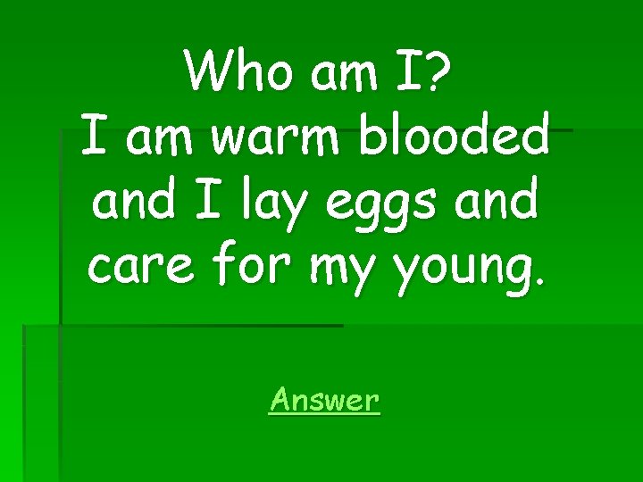 Who am I? I am warm blooded and I lay eggs and care for