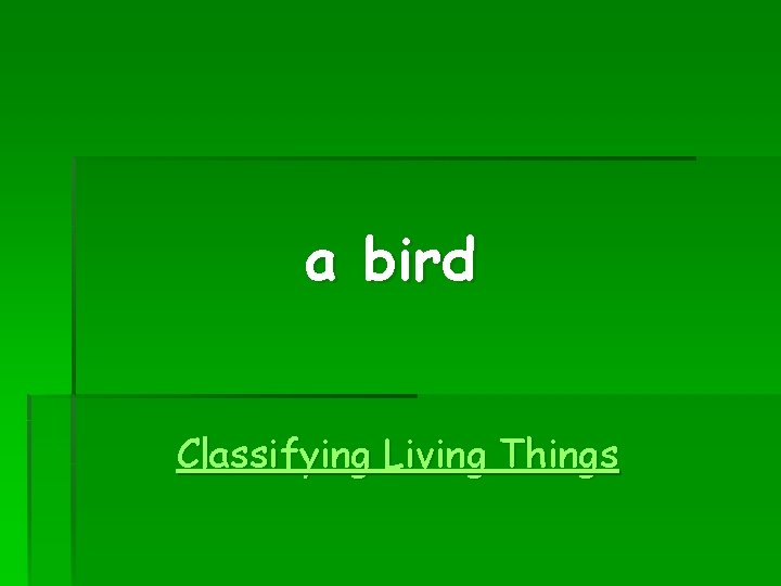 a bird Classifying Living Things 