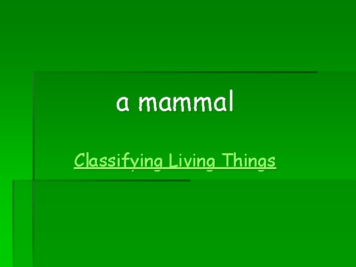a mammal Classifying Living Things 