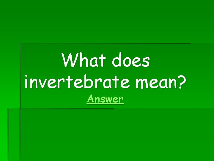 What does invertebrate mean? Answer 