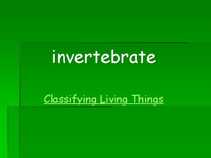 invertebrate Classifying Living Things 