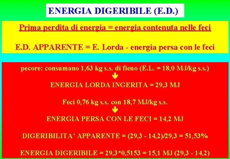 ENERGIA DIGERIBILE (E. D. ) Prima perdita di energia = energia contenuta nelle feci