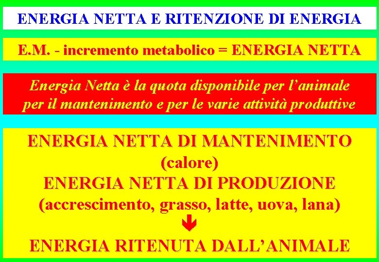 ENERGIA NETTA E RITENZIONE DI ENERGIA E. M. - incremento metabolico = ENERGIA NETTA