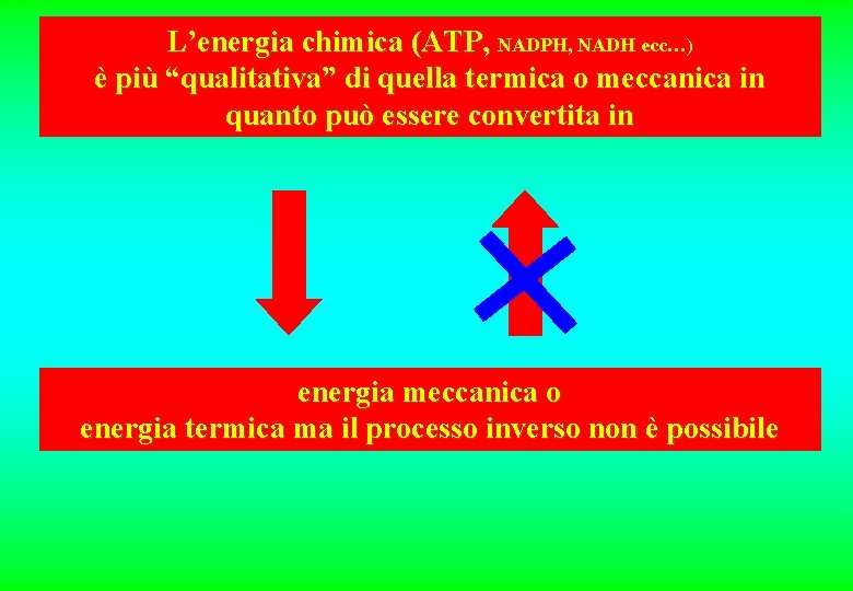 L’energia chimica (ATP, NADPH, NADH ecc…) è più “qualitativa” di quella termica o meccanica