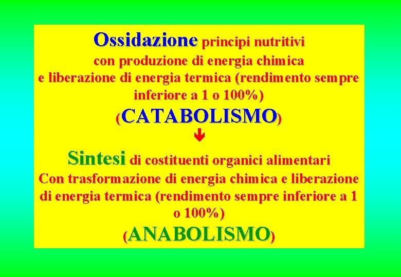 Ossidazione principi nutritivi con produzione di energia chimica e liberazione di energia termica (rendimento