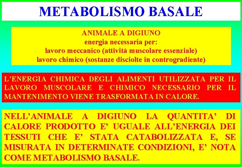 METABOLISMO BASALE ANIMALE A DIGIUNO energia necessaria per: lavoro meccanico (attività muscolare essenziale) lavoro