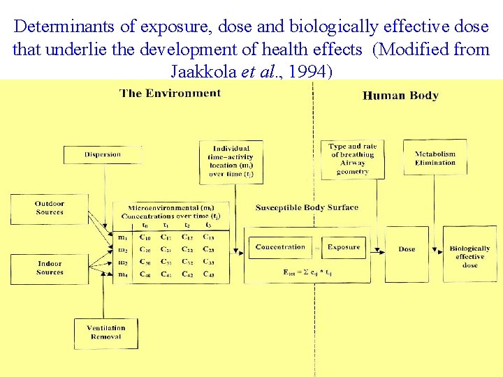 Determinants of exposure, dose and biologically effective dose that underlie the development of health