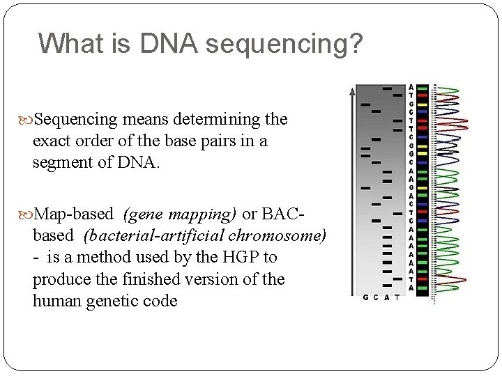 What is DNA sequencing? Sequencing means determining the exact order of the base pairs