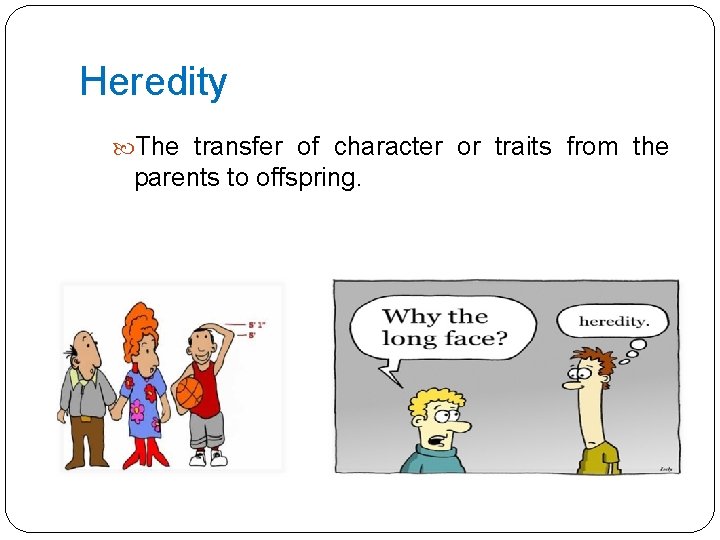 Heredity The transfer of character or traits from the parents to offspring. 