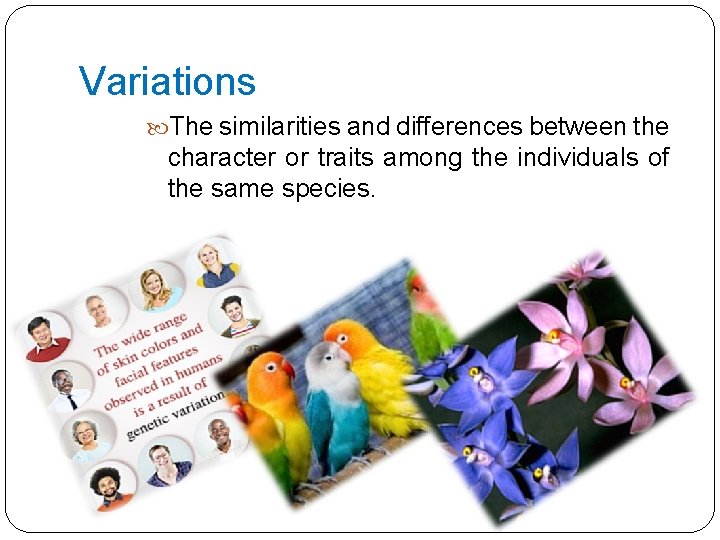 Variations The similarities and differences between the character or traits among the individuals of