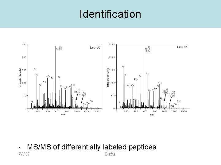 Identification • MS/MS of differentially labeled peptides Wi’ 07 Bafna 