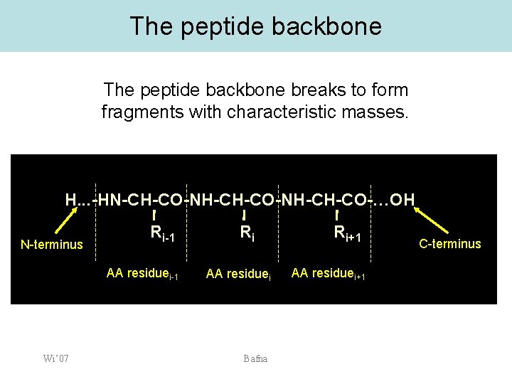 The peptide backbone breaks to form fragments with characteristic masses. H. . . -HN-CH-CO-NH-CH-CO-…OH
