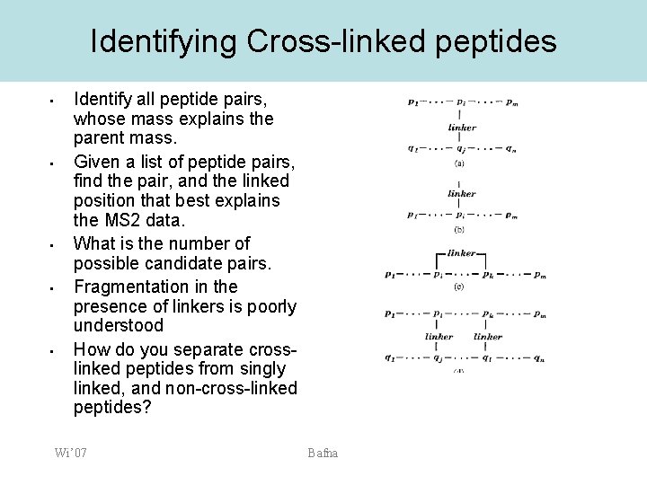 Identifying Cross-linked peptides • • • Identify all peptide pairs, whose mass explains the