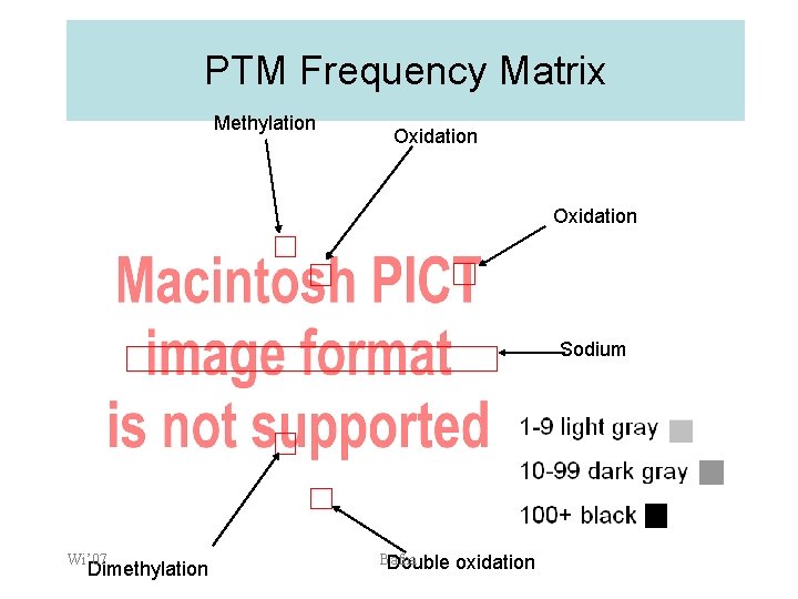 PTM Frequency Matrix Methylation Oxidation Sodium Wi’ 07 Dimethylation Bafna Double oxidation 