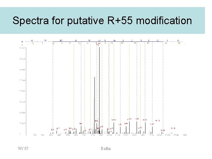 Spectra for putative R+55 modification Wi’ 07 Bafna 