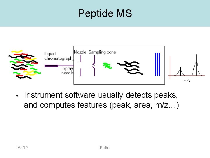 Peptide MS m/z • Instrument software usually detects peaks, and computes features (peak, area,