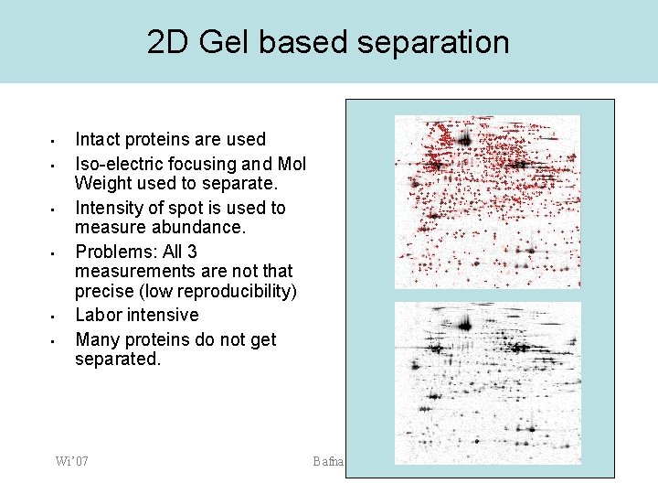 2 D Gel based separation • • • Intact proteins are used Iso-electric focusing