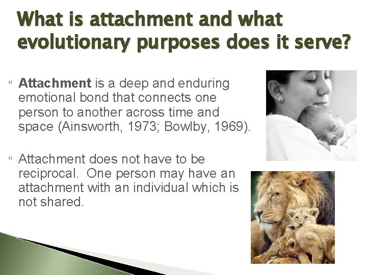 What is attachment and what evolutionary purposes does it serve? Attachment is a deep