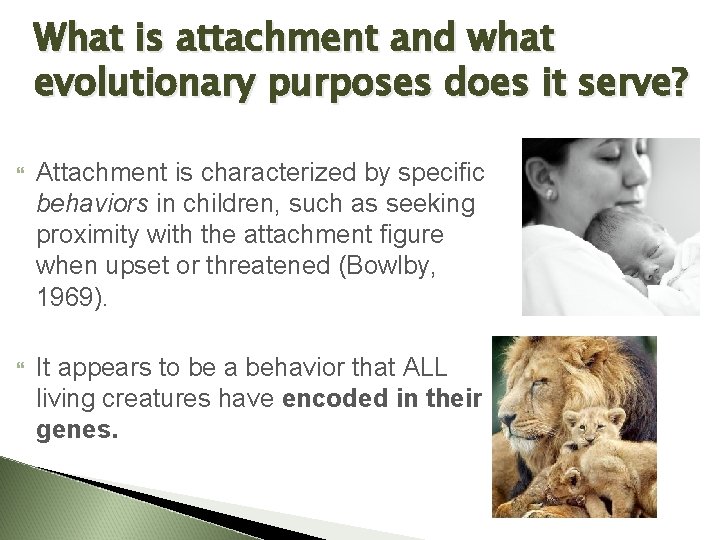 What is attachment and what evolutionary purposes does it serve? Attachment is characterized by