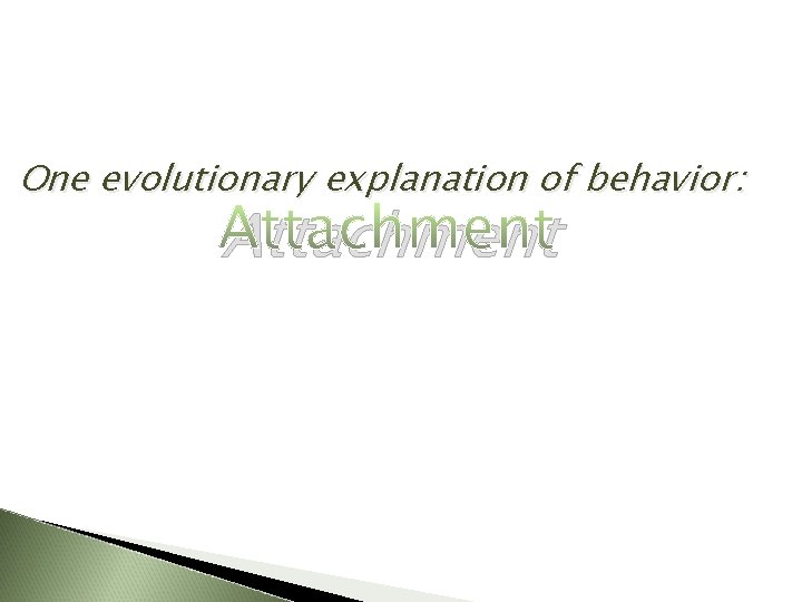 One evolutionary explanation of behavior: Attachment 