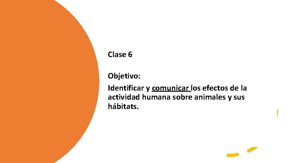 Clase 6 Objetivo: Identificar y comunicar los efectos de la actividad humana sobre animales