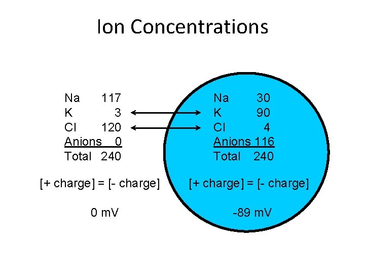 Ion Concentrations Na 117 K 3 Cl 120 Anions 0 Total 240 [+ charge]