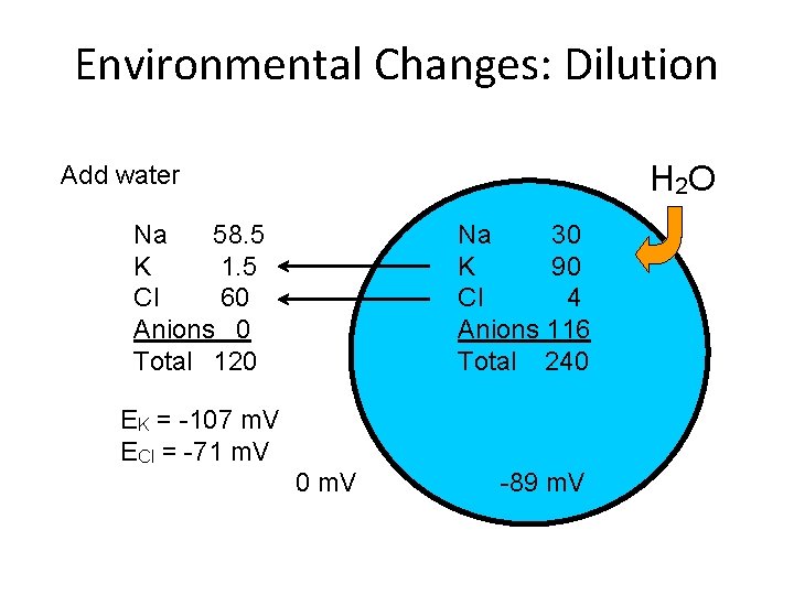 Environmental Changes: Dilution H 2 O Add water Na 58. 5 K 1. 5