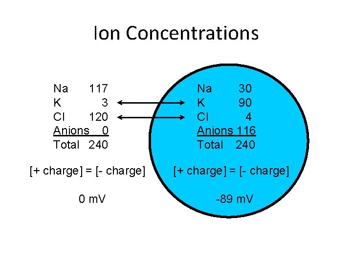 Ion Concentrations Na 117 K 3 Cl 120 Anions 0 Total 240 [+ charge]