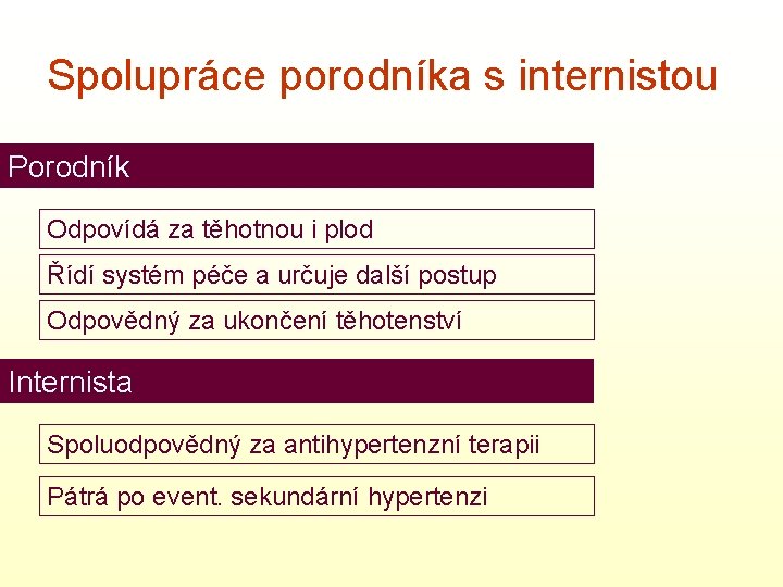 Spolupráce porodníka s internistou Porodník Odpovídá za těhotnou i plod Řídí systém péče a