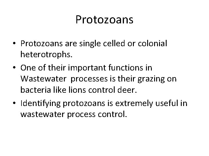 Protozoans • Protozoans are single celled or colonial heterotrophs. • One of their important