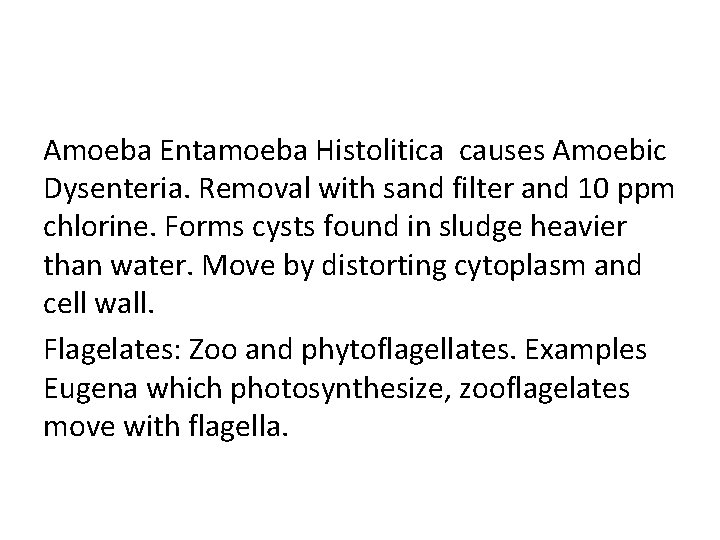 Amoeba Entamoeba Histolitica causes Amoebic Dysenteria. Removal with sand filter and 10 ppm chlorine.