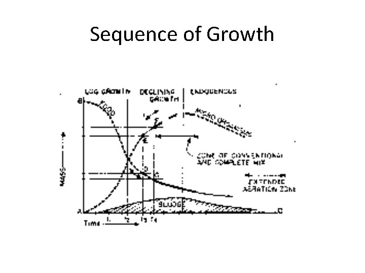 Sequence of Growth 