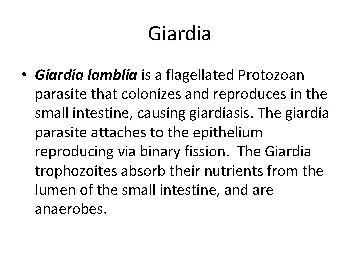 Giardia • Giardia lamblia is a flagellated Protozoan parasite that colonizes and reproduces in