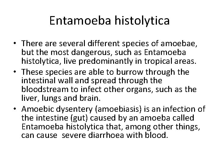 Entamoeba histolytica • There are several different species of amoebae, but the most dangerous,