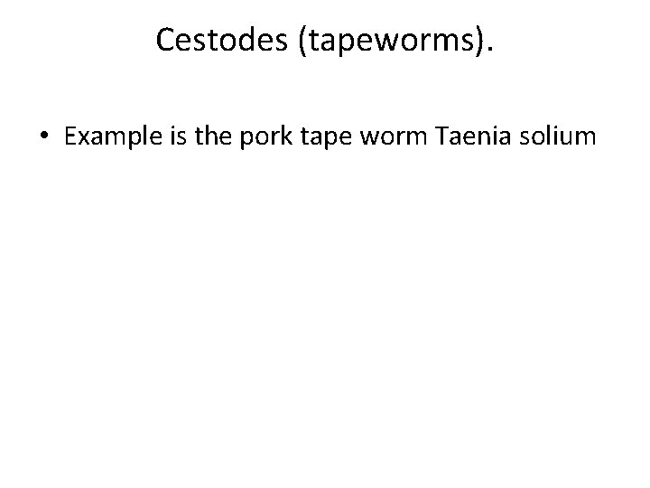 Cestodes (tapeworms). • Example is the pork tape worm Taenia solium 