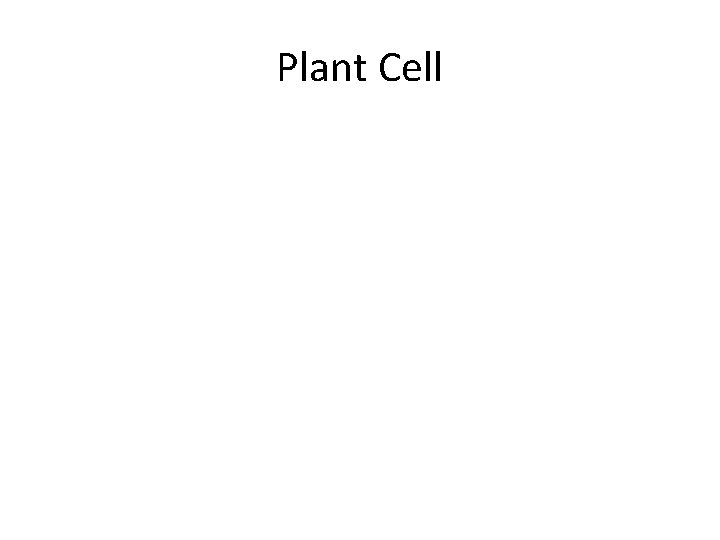 Plant Cell 