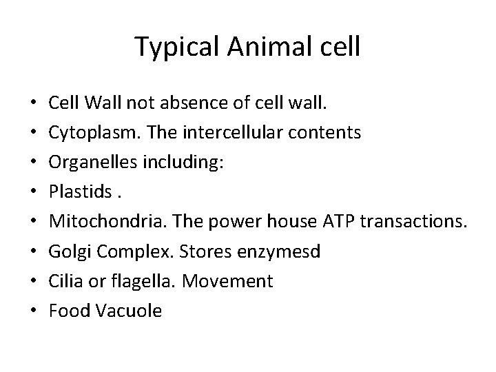 Typical Animal cell • • Cell Wall not absence of cell wall. Cytoplasm. The