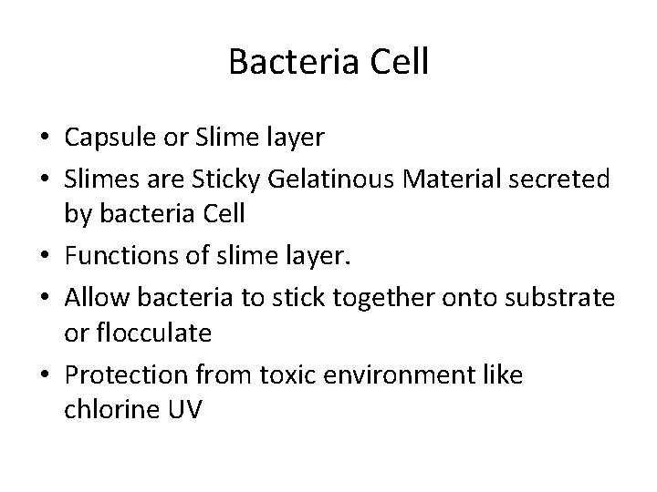 Bacteria Cell • Capsule or Slime layer • Slimes are Sticky Gelatinous Material secreted