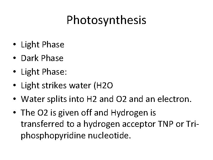 Photosynthesis • • • Light Phase Dark Phase Light Phase: Light strikes water (H