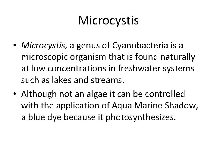 Microcystis • Microcystis, a genus of Cyanobacteria is a microscopic organism that is found