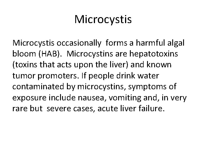 Microcystis occasionally forms a harmful algal bloom (HAB). Microcystins are hepatotoxins (toxins that acts