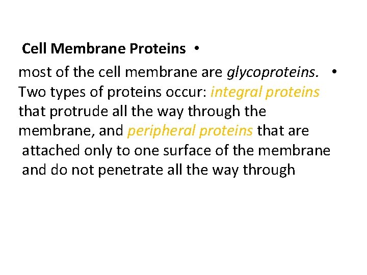 Cell Membrane Proteins • most of the cell membrane are glycoproteins. • Two types