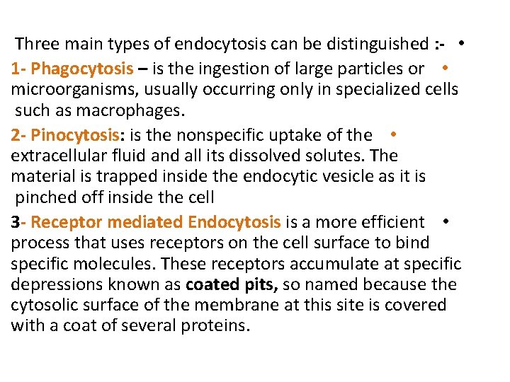 Three main types of endocytosis can be distinguished : - • 1 - Phagocytosis