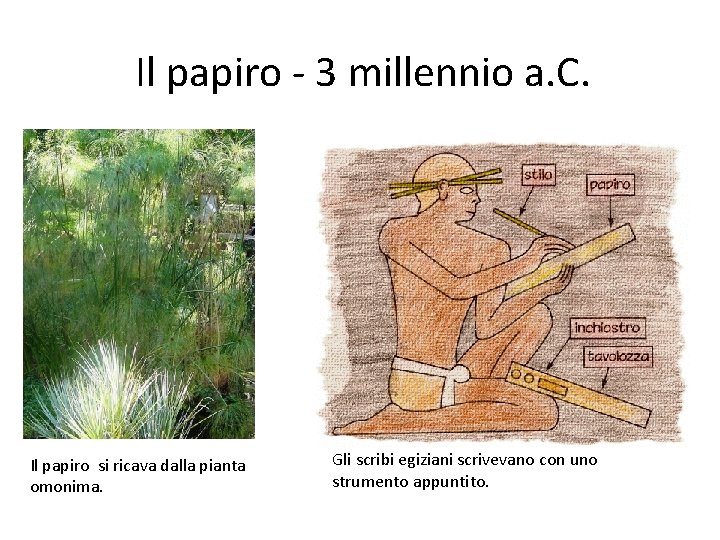 Il papiro - 3 millennio a. C. Il papiro si ricava dalla pianta omonima.