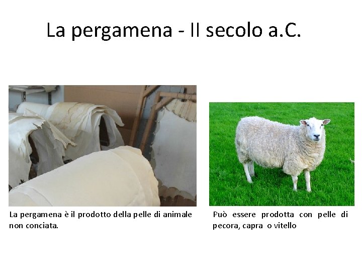 La pergamena - II secolo a. C. La pergamena è il prodotto della pelle