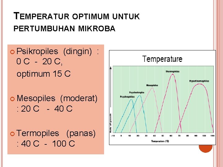 TEMPERATUR OPTIMUM UNTUK PERTUMBUHAN MIKROBA Psikropiles (dingin) : 0 C - 20 C, optimum