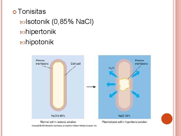  Tonisitas Isotonik (0, 85% Na. Cl) hipertonik hipotonik 